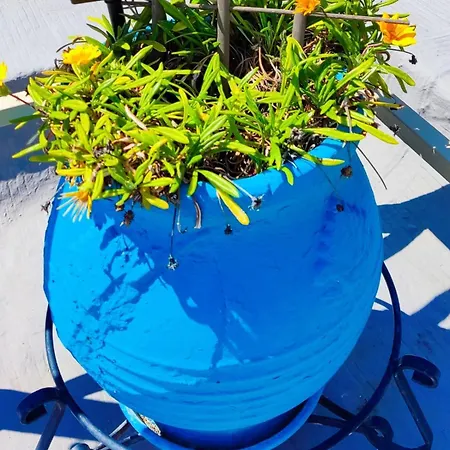 Apartment Park House -beside The Medieval Town Of Rhodes-free Parking Rhodes City