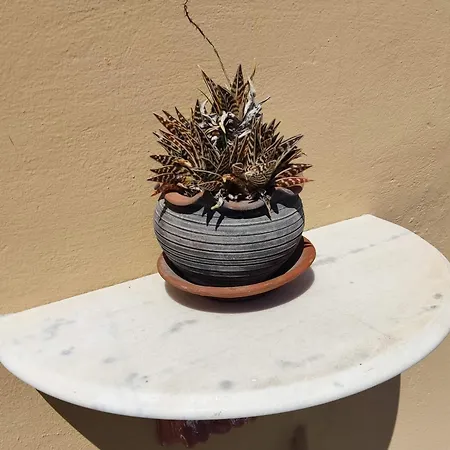 Park House -beside The Medieval Town Of Rhodes-free Parking Apartment