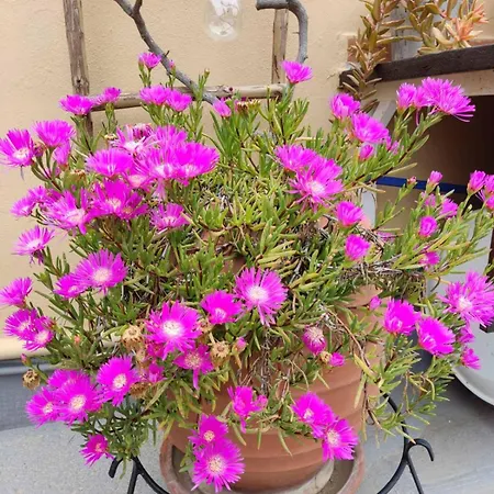 Park House -beside The Medieval Town Of Rhodes-free Parking Apartament *