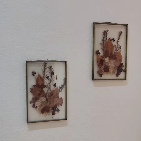 Park House -beside The Medieval Town Of Rhodes-free Parking Apartament Rhodes City